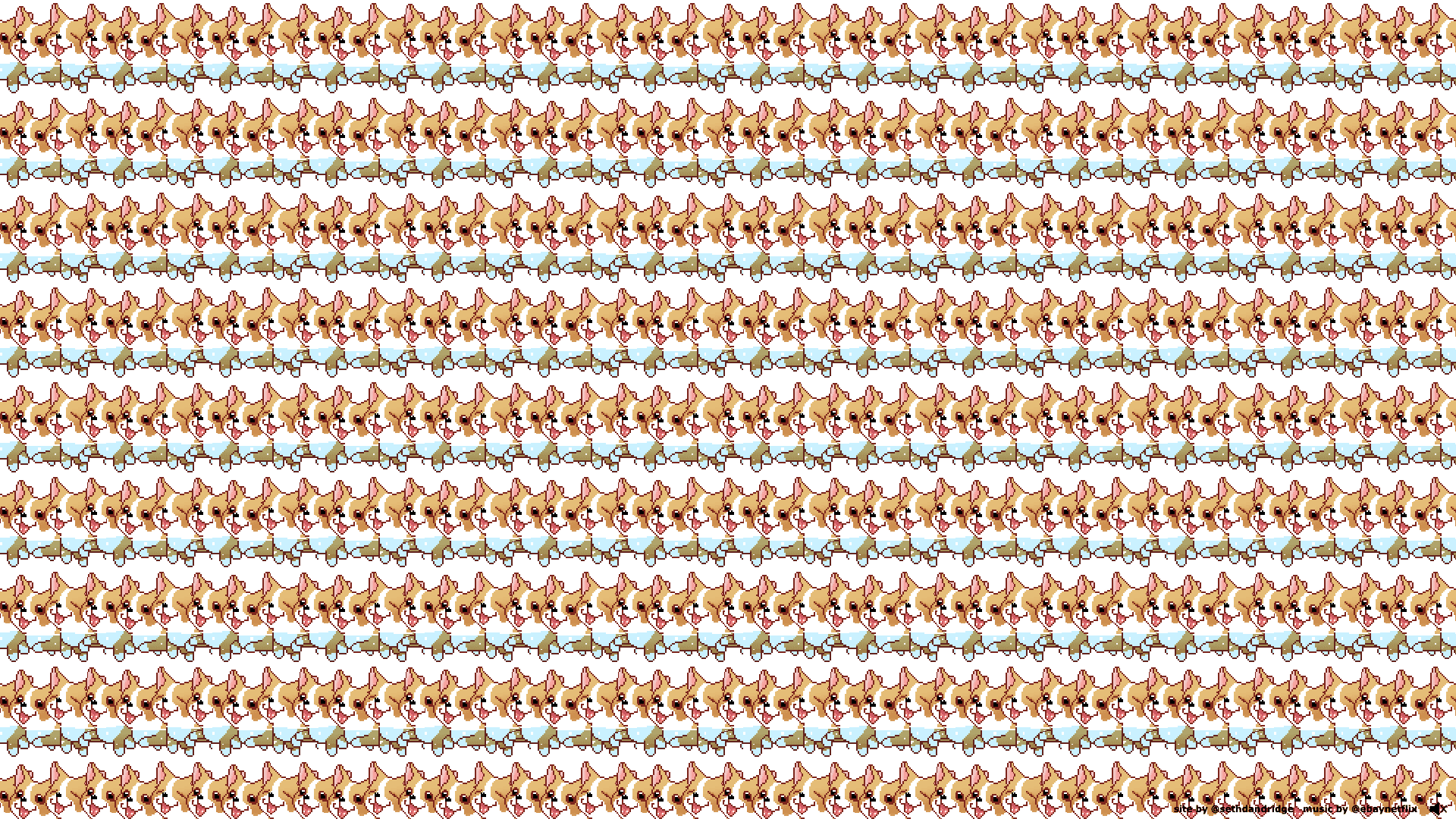 CORGI ORGY
