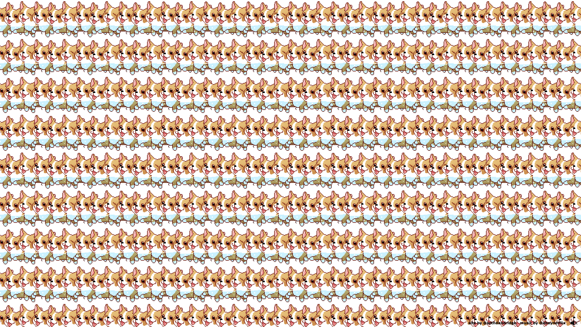 CORGI ORGY
